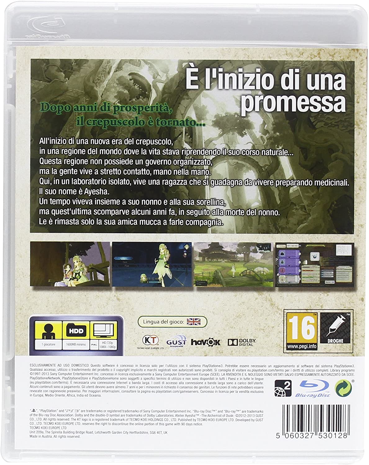 Miniatura 2