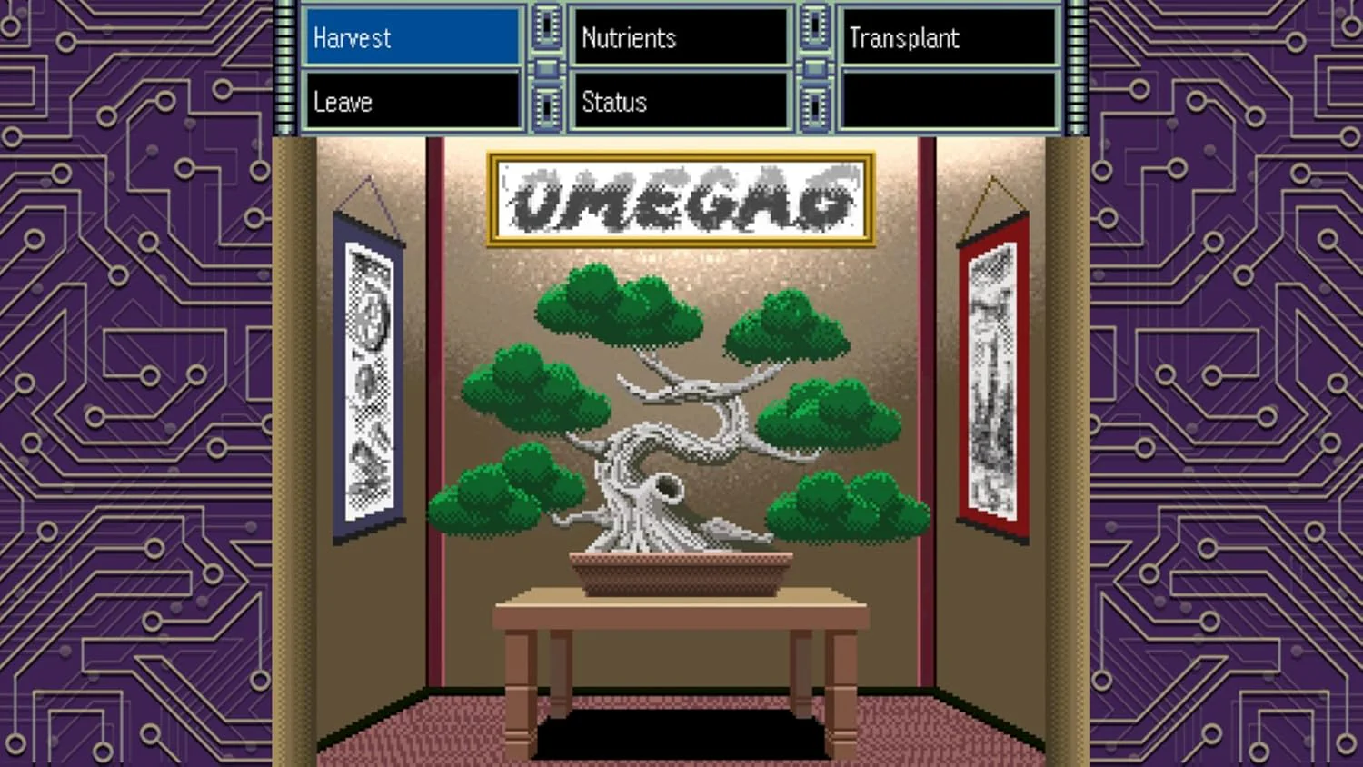 Miniatura 8