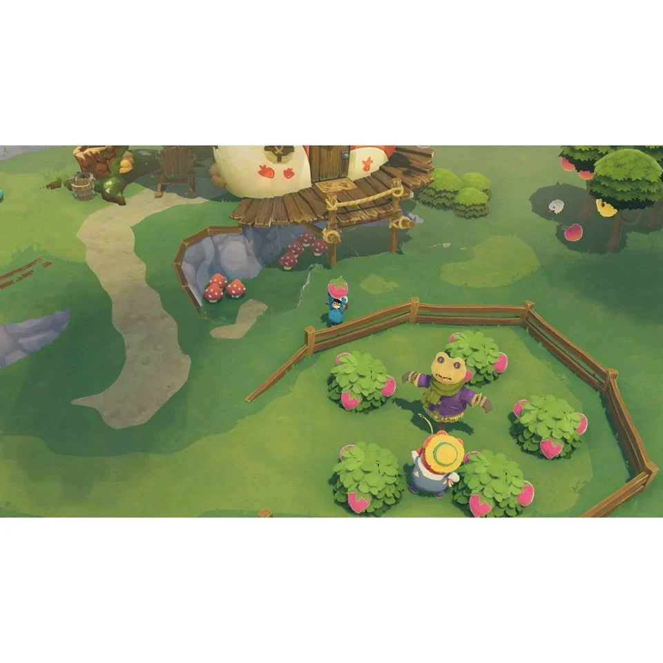 Miniatura 5