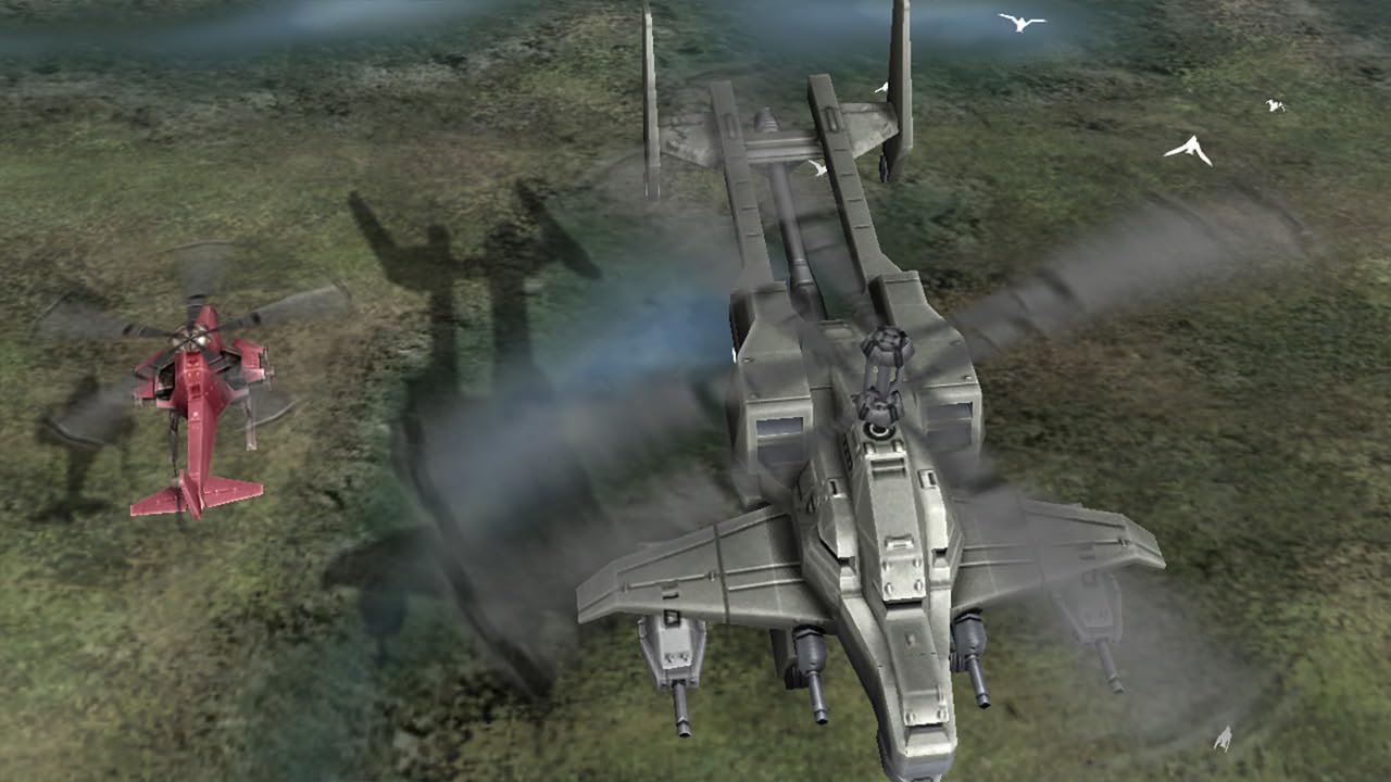 Miniatura 13